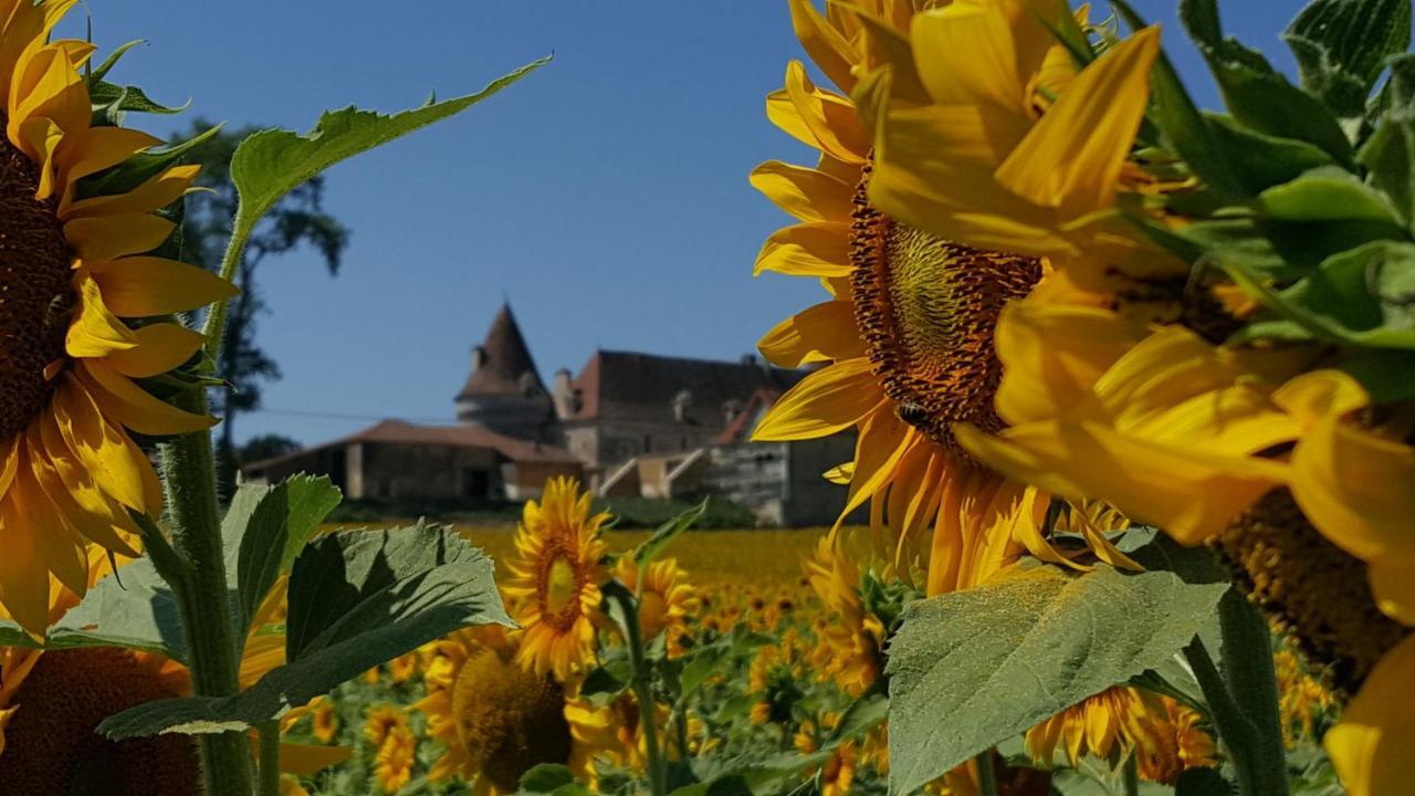Le Petit Coin - LPC Dordogne Holidays Lussas-et-Nontronneau Extérieur photo